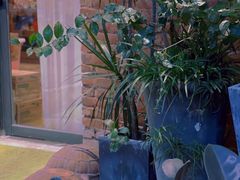 -NLFS1983咖啡花园餐厅(锦桂店)