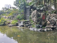 -柳侯公园