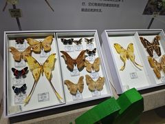 -烟台市博物馆