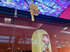 -将太无二·北美传奇寿司(荟聚购物中心西红门店)