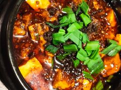 -陈麻婆豆腐总店
