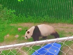 -沈阳森林动物园