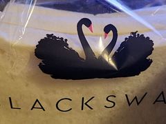 -BLACKSWAN黑天鹅(环球店)