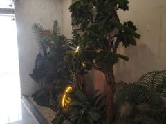 -富贵沐足·足浴按摩SPA(司门口解放路店)