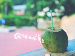 -三宝井