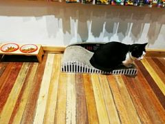 -猫的天空之城概念书店(杭州南宋御街店)