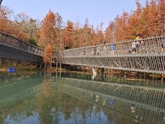 -梅峰山地公园