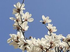 -共青国家森林公园-售票处