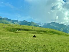 -新疆那拉提国家旅游度假区