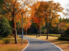 -昆山城市生态森林公园