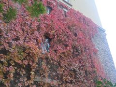 -龙湖·香醍溪岸