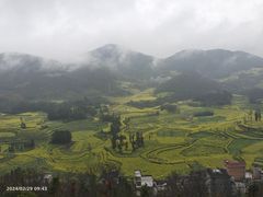 -牛街螺丝田