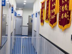 -心语宠物医院·急重症转诊中心·瑞辰华诺(南青路店)