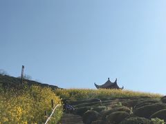 -石潭村