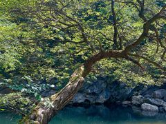 -少华山国家森林公园