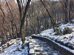 -永泉忆江南12景区