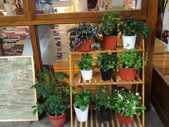 -猫的天空之城概念书店(杭州南宋御街店)