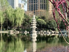 -木塔寺遗址生态公园