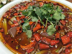 毛血旺-古蔺郑胖娃(泸州总店)