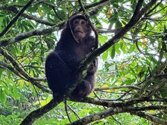 -西岭雪山大飞水景区