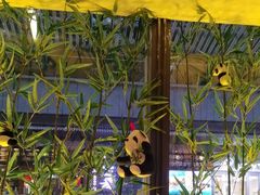 -蓉城小馆(科兴店)