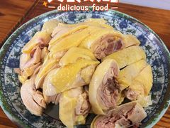 三黄鸡-九斤黄三黄鸡专卖店