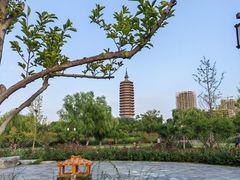 -西海子公园