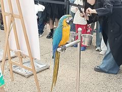 -大明宫国家遗址公园·御道广场