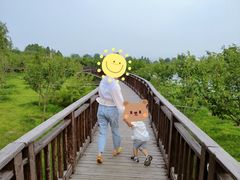 -羊亭河湿地公园