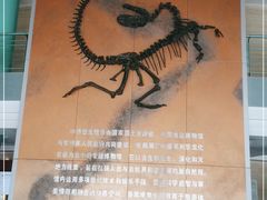 -中华恐龙园