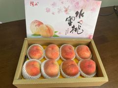 -老袁家蜜桃农场·阳山水蜜桃