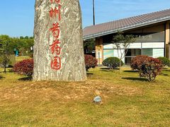 -扬州芍药园(仪征市)