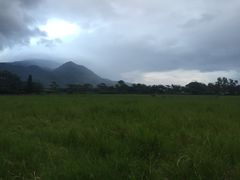-瑞穗牧场