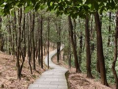 -火炉山森林公园