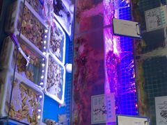 -大杰海鲜锅(基隆路店)