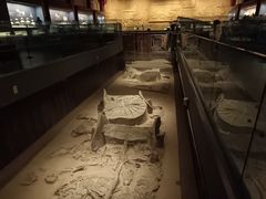 -北京大葆台遗址博物馆