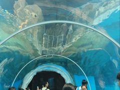 -香港海洋公园