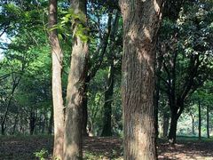-杭州植物园