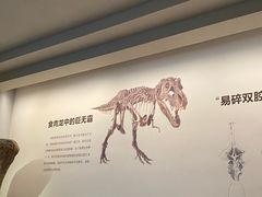 -自贡恐龙博物馆