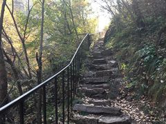 -云岫谷游猎自然风景区