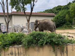 -宁波野生动物园