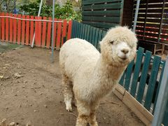 -恒大·海上威尼斯售楼处