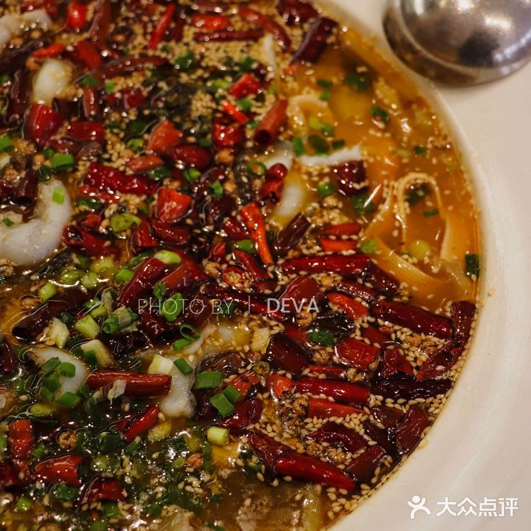 深圳新店｜地道国民西北菜来深圳啦😯