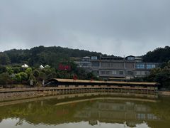 -铁山坪森林公园