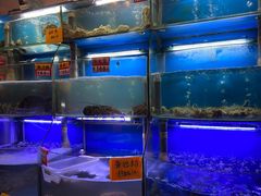 水产区-蔚海之都·象山蒸汽海鲜(仙霞路店)