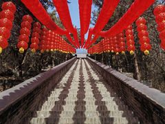 -红螺寺