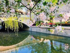 -海棠花溪(元大都城垣遗址公园)
