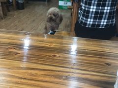 土豆-攀枝花·任德琼·盐边羊肉米线