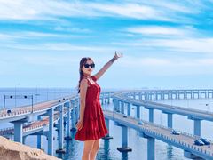 -星海湾跨海大桥