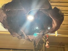 -泥糊破店小酒馆·团建聚餐(南京西路店)